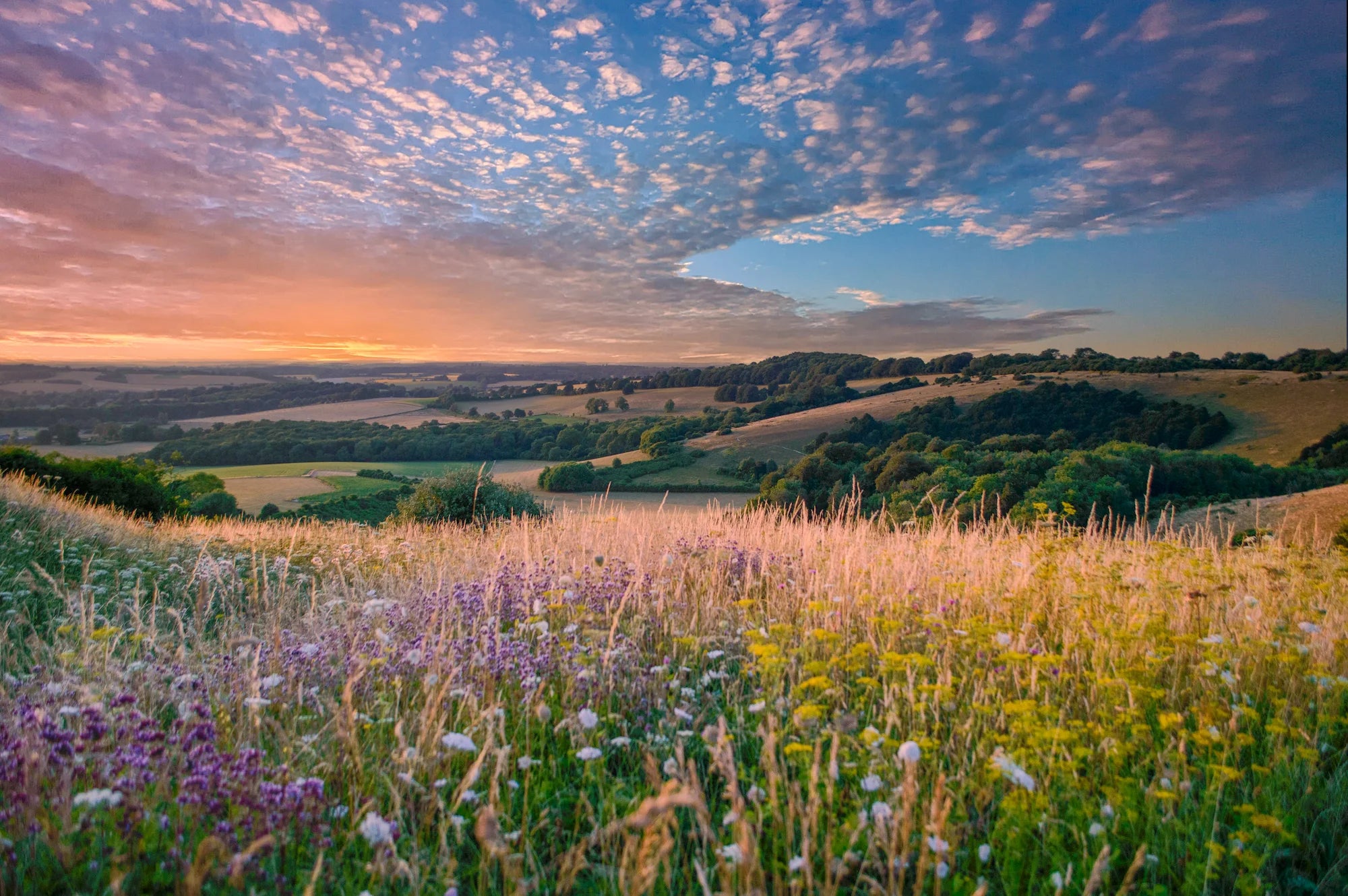 Open countryside landscape in the South of England