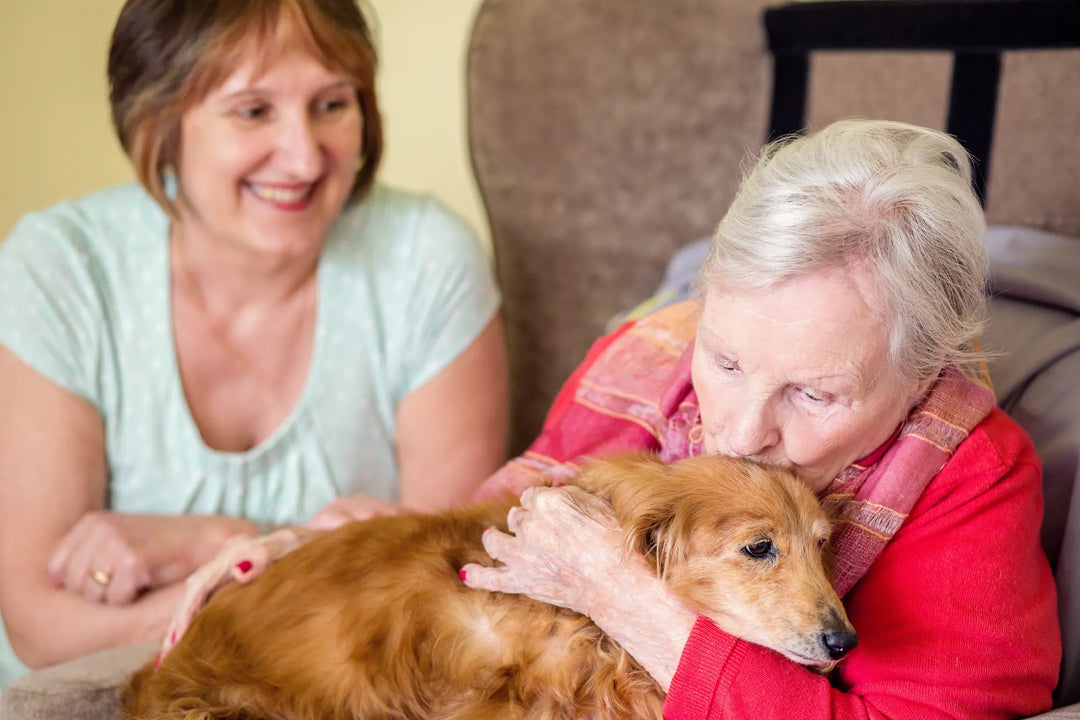Woman in red sweater hugging a dog with another woman in light green shirt smiling in the background. Elderly woman enjoying companionship at home with her dog and live-in care support