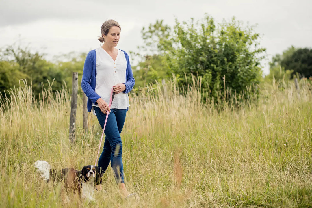 Live-in carer supporting independent living with a walk in the countryside